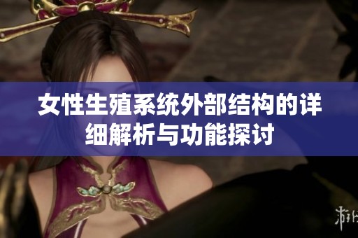 女性生殖系统外部结构的详细解析与功能探讨