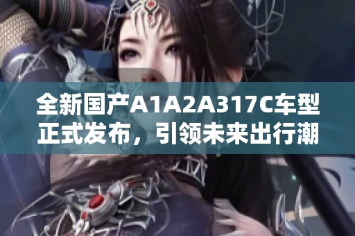 全新国产A1A2A317C车型正式发布，引领未来出行潮流