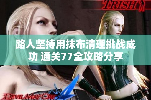 路人坚持用抹布清理挑战成功 通关77全攻略分享