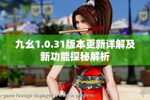 九幺1.0.31版本更新详解及新功能探秘解析