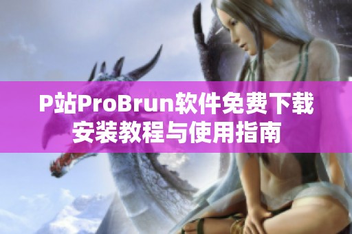 P站ProBrun软件免费下载安装教程与使用指南