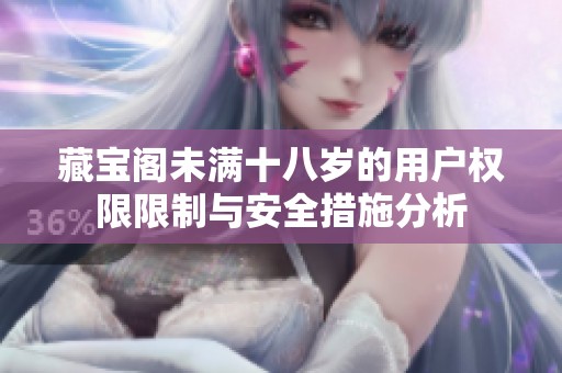 藏宝阁未满十八岁的用户权限限制与安全措施分析