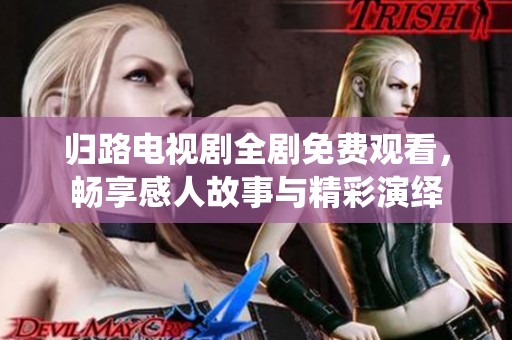 归路电视剧全剧免费观看，畅享感人故事与精彩演绎