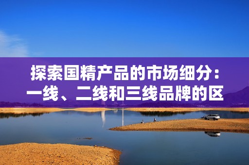 探索国精产品的市场细分：一线、二线和三线品牌的区别与优势