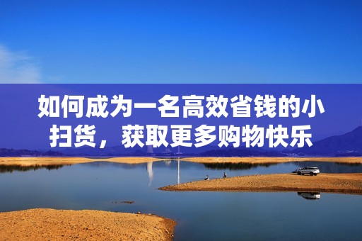 如何成为一名高效省钱的小扫货，获取更多购物快乐