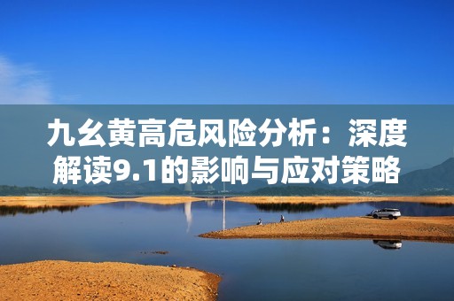 九幺黄高危风险分析：深度解读9.1的影响与应对策略