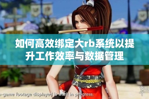 如何高效绑定大rb系统以提升工作效率与数据管理