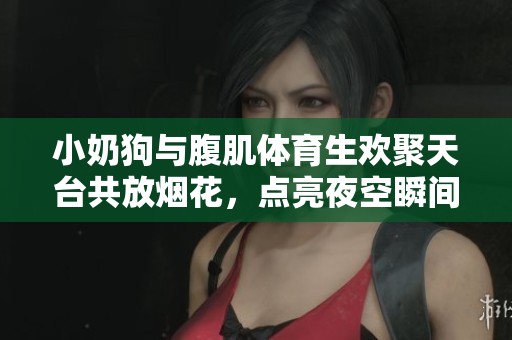 小奶狗与腹肌体育生欢聚天台共放烟花，点亮夜空瞬间