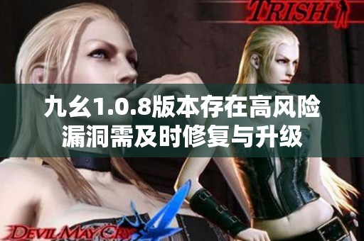 九幺1.0.8版本存在高风险漏洞需及时修复与升级