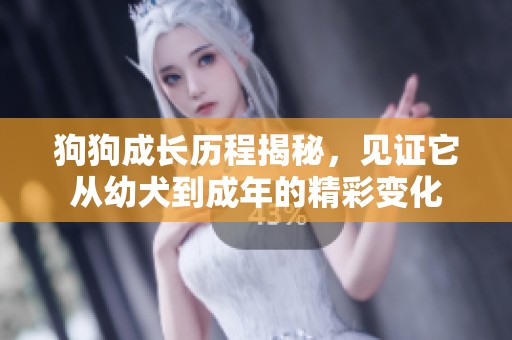 狗狗成长历程揭秘，见证它从幼犬到成年的精彩变化