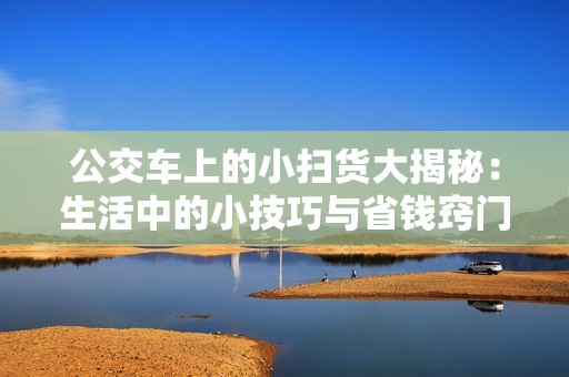 公交车上的小扫货大揭秘：生活中的小技巧与省钱窍门