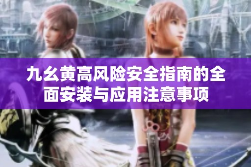 九幺黄高风险安全指南的全面安装与应用注意事项