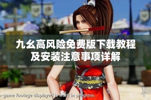 九幺高风险免费版下载教程及安装注意事项详解