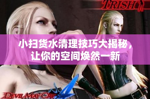 小扫货水清理技巧大揭秘，让你的空间焕然一新