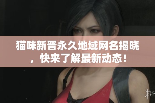 猫咪新晋永久地域网名揭晓，快来了解最新动态！