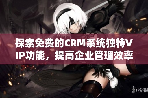 探索免费的CRM系统独特VIP功能，提高企业管理效率