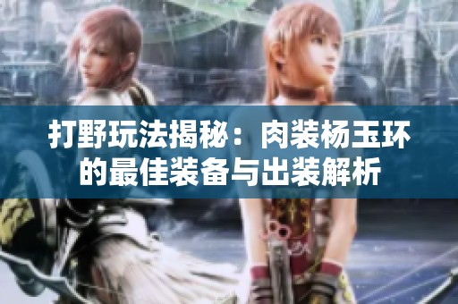 打野玩法揭秘：肉装杨玉环的最佳装备与出装解析