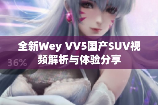 全新Wey VV5国产SUV视频解析与体验分享