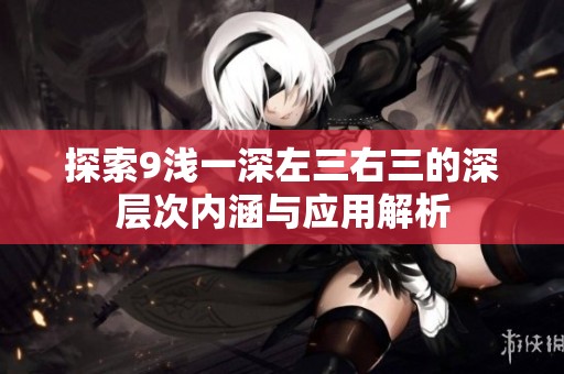 探索9浅一深左三右三的深层次内涵与应用解析