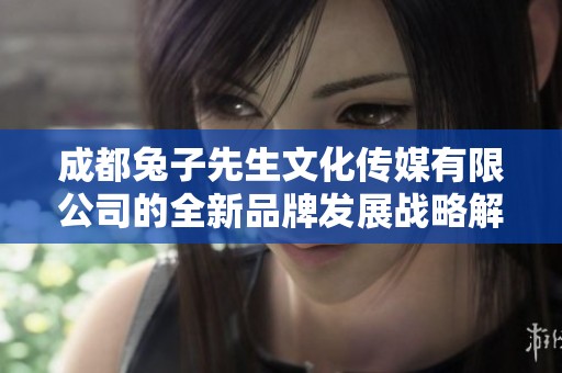 成都兔子先生文化传媒有限公司的全新品牌发展战略解析