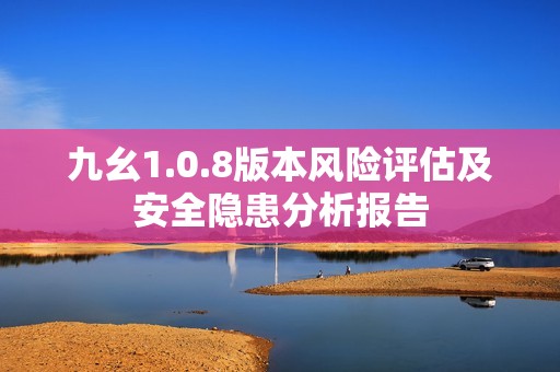 九幺1.0.8版本风险评估及安全隐患分析报告
