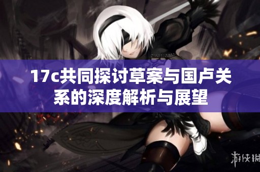 17c共同探讨草案与国卢关系的深度解析与展望