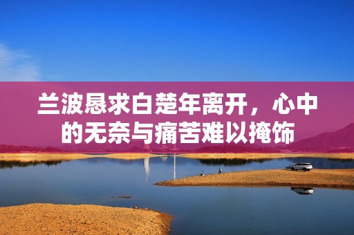 兰波恳求白楚年离开，心中的无奈与痛苦难以掩饰