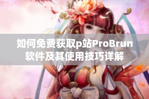 如何免费获取p站ProBrun软件及其使用技巧详解