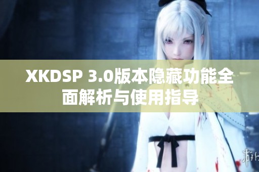 XKDSP 3.0版本隐藏功能全面解析与使用指导