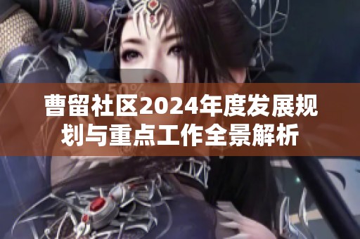 曹留社区2024年度发展规划与重点工作全景解析