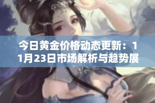 今日黄金价格动态更新：11月23日市场解析与趋势展望