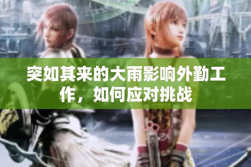突如其来的大雨影响外勤工作，如何应对挑战