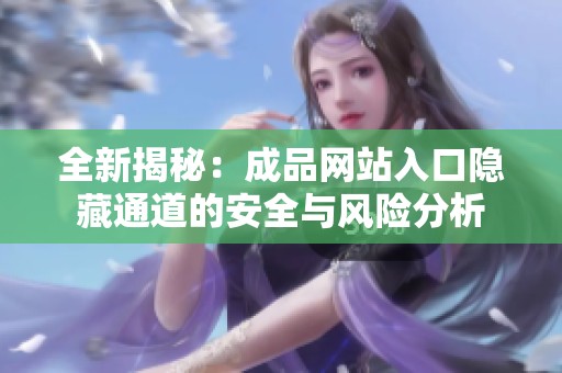 全新揭秘：成品网站入口隐藏通道的安全与风险分析