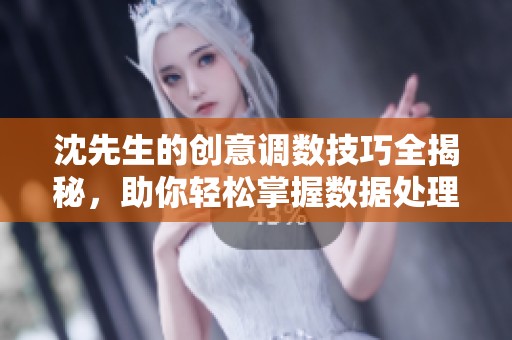 沈先生的创意调数技巧全揭秘，助你轻松掌握数据处理术！