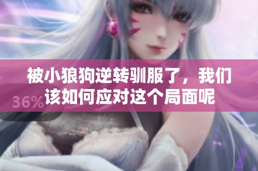 被小狼狗逆转驯服了，我们该如何应对这个局面呢