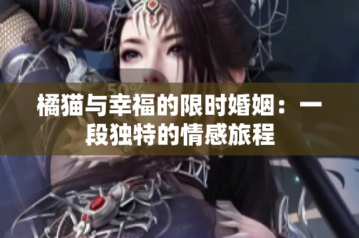 橘猫与幸福的限时婚姻：一段独特的情感旅程