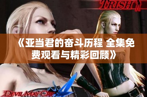《亚当君的奋斗历程 全集免费观看与精彩回顾》