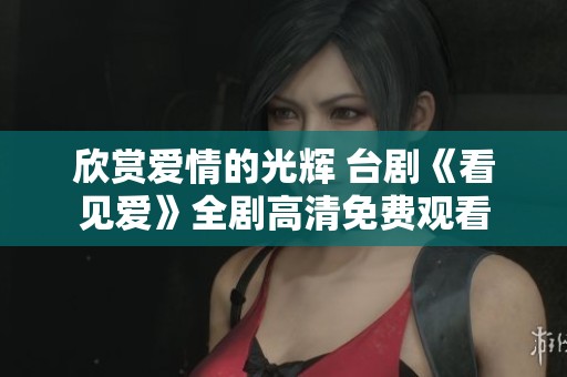 欣赏爱情的光辉 台剧《看见爱》全剧高清免费观看