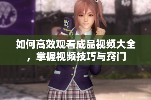如何高效观看成品视频大全，掌握视频技巧与窍门
