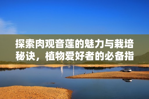 探索肉观音莲的魅力与栽培秘诀，植物爱好者的必备指南