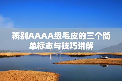 辨别AAAA级毛皮的三个简单标志与技巧讲解