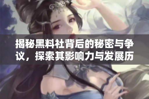 揭秘黑料社背后的秘密与争议，探索其影响力与发展历程