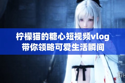 柠檬猫的糖心短视频vlog带你领略可爱生活瞬间