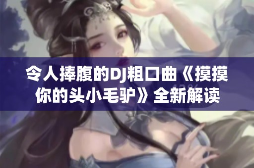 令人捧腹的DJ粗口曲《摸摸你的头小毛驴》全新解读