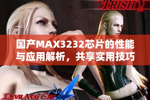 国产MAX3232芯片的性能与应用解析，共享实用技巧与经验