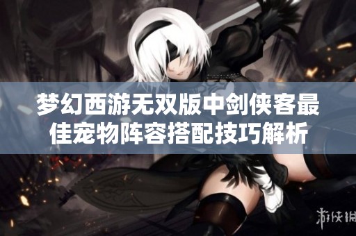 梦幻西游无双版中剑侠客最佳宠物阵容搭配技巧解析