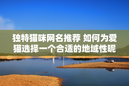 独特猫咪网名推荐 如何为爱猫选择一个合适的地域性昵称