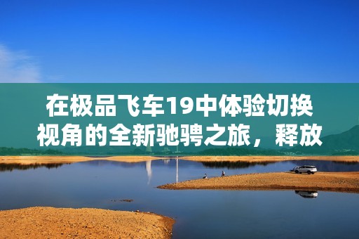 在极品飞车19中体验切换视角的全新驰骋之旅，释放你的速度激情与冒险精神