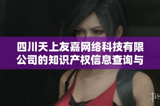四川天上友嘉网络科技有限公司的知识产权信息查询与分析报告