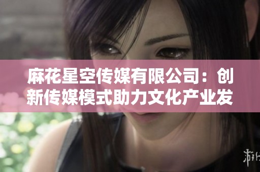 麻花星空传媒有限公司：创新传媒模式助力文化产业发展